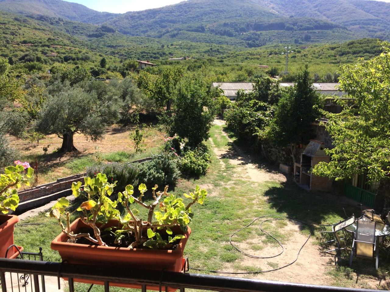 La Antigua Tahona Daire Navaconcejo Dış mekan fotoğraf